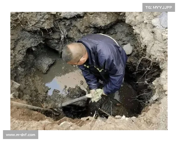 预测性客户服务试点,潜在问题解决于未然